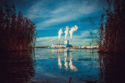 Power station with three smoking chimneys, seen across a lake through reeds